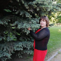 , 49, -