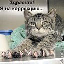 ...� ������ �� �������