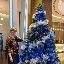 �������, ���������, 48 ���