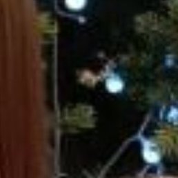 �������, ���������, 57 ���