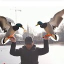 ���� ������, ������ - ��������� 11 ������� 2025 � ������ ���� ����������