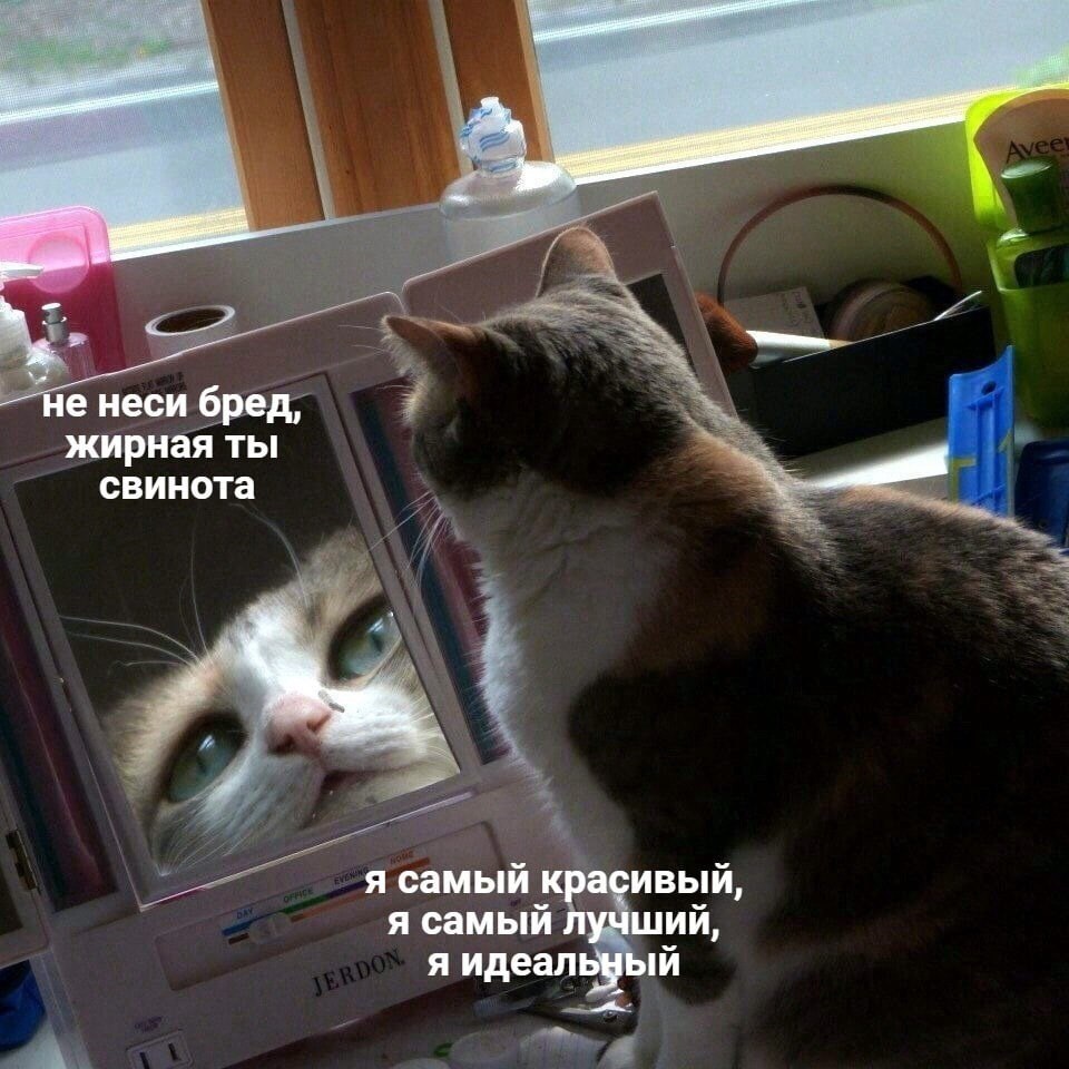    - 20  2024  17:39