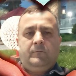 ������, ����, 49 ���