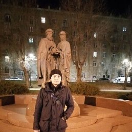 ����, �������, 37 ���