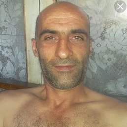 , 59, 