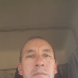 , 55, 