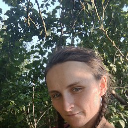 , 24, 