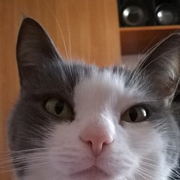 ������125��, ���������