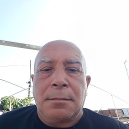 , 53, 