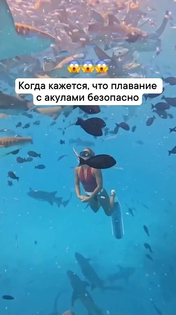   ,     ? - 2