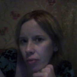 , 41, 