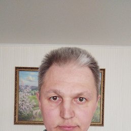 ���������, 43 ����, �������