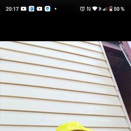 ���������, 40 ���, ����������