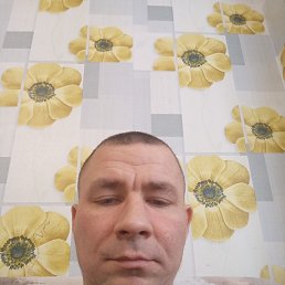 ��������, 38 ���, ���������