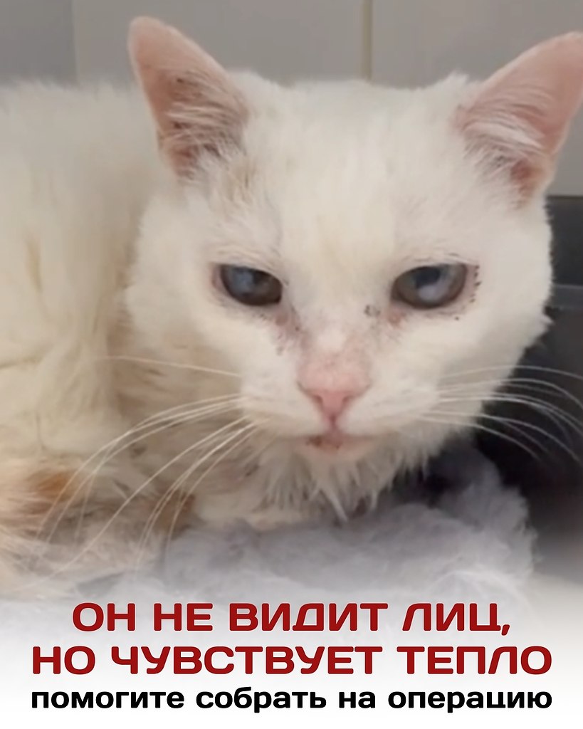 �� �� ����� ����� ���. �� ����� ������������ �� ����. �� �� ���������, ����� ��� ������ �� ����� ...
