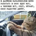 ���� Alex, �����������, 56 ��� - ��������� 18 ����� 2026 � ������ ������ ��������