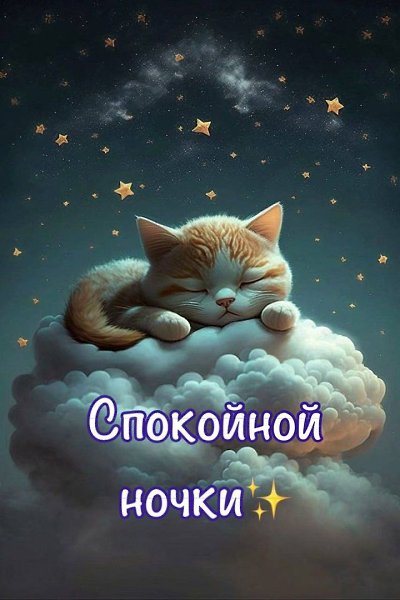  - 7  2025  01:46