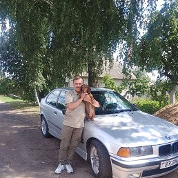���� ����, �����, 56 ��� - ��������� 12 ����� 2024