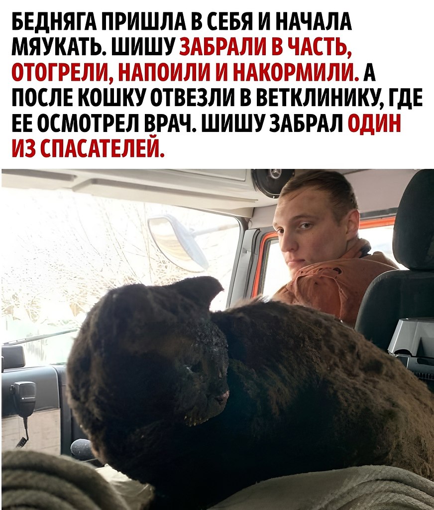       - 3