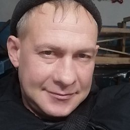 �����, ������, 41 ���