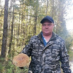 , 36, 