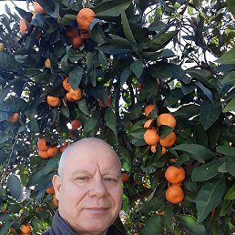 �����, 62 ����, ������