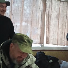 , 53,  