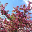 ���� ����� ����������., �������, 39 ��� - ��������� 24 ����� 2026 � ������ �������