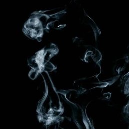 ������, ������, 40 ���