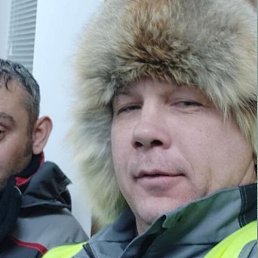 �������, ���������, 41 ���