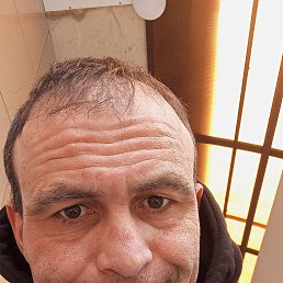 , 40 , 