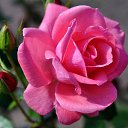 ���� ���������, ����������� - ��������� 30 ���� 2025 � ������ ������ ��������