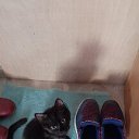 ���� ���������, ��������, 74 ���� - ��������� 6 ������� 2026 � ������ ������� ������