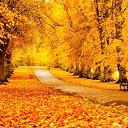 ���� �������, ������������ - ��������� 20 ������ 2023 � ������ ������ ��������