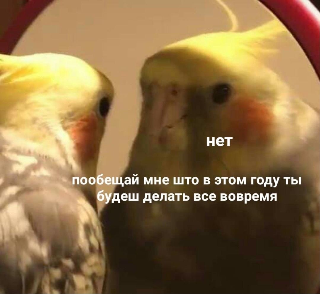    - 11  2024  00:12