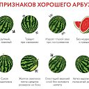 ���� ������, ������, 62 ���� - ��������� 3 ������� 2026 � ������ ������ ��������