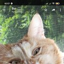 ���� ���������, ������, 48 ��� - ��������� 30 ������� 2023 � ������ ���� ����������