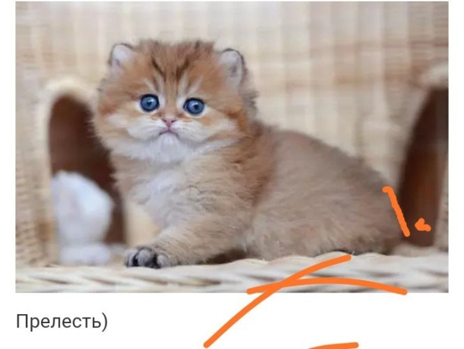 Женился друг. По любви, конечно. Невеста красивая, умная, самостоятельная. Бухгалтером работает в ...