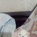 ���� ����������, ���������, 47 ��� - ��������� 18 ������ 2024 � ������ ���� ����������
