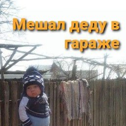 ���� ������, �����������, 56 ��� - ��������� 21 ������� 2023