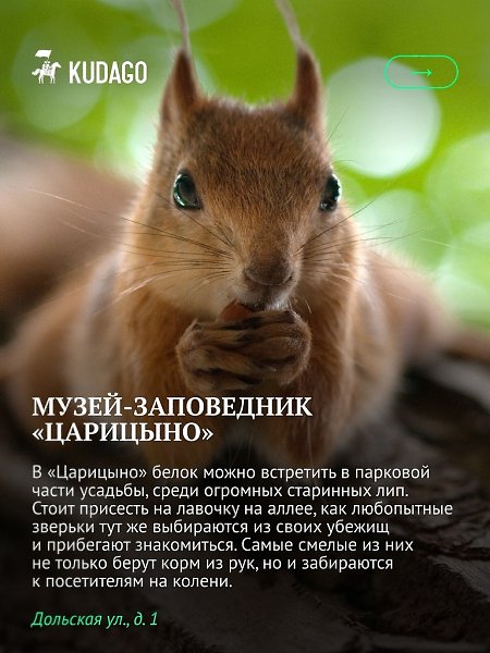 ����� ������, ��� ����� �� ������ ������������ �������� ��������� ���������, �� � ��������� ��, ���� ... - 3