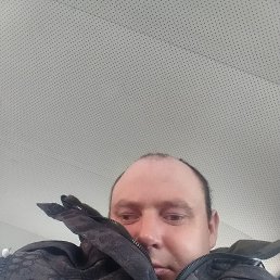 , 33, 