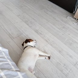���� �����, ����������, 33 ���� - ��������� 25 ��� 2026