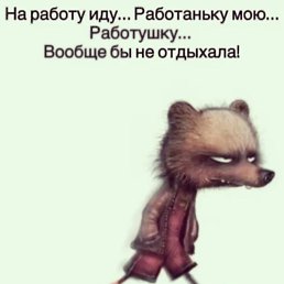 ���� ����� ������, ������-��-����, 57 ��� - ��������� 17 ������� 2024