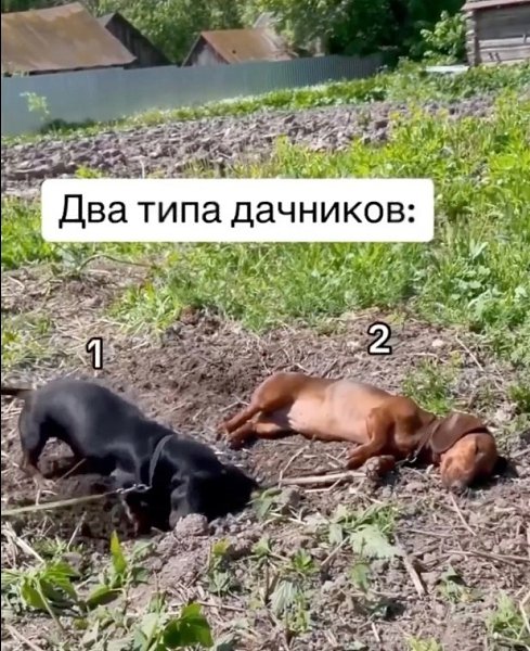� ����� �� ���? - 2