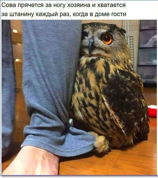   - 29  2025  02:37
