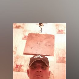 �����, ������, 40 ���