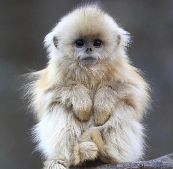    -   .   ,     ... - 2