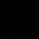 ���� ������, �������, 50 ��� - ��������� 16 ����� 2026 � ������ ���� ����������