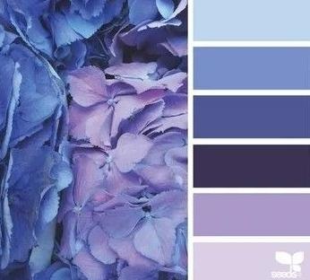 ��������������� - 5